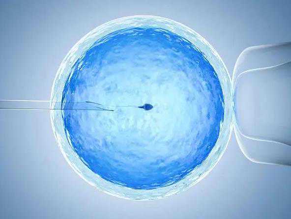 宫腔环境差如何有效调理？