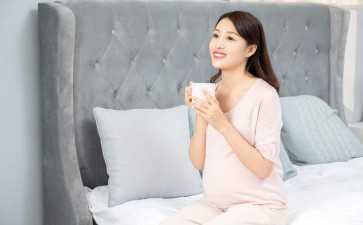 最后的神权解析：阴谋、仇恨与孤独的深度探讨