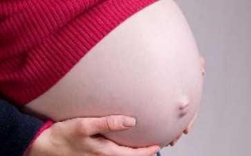 试管双胞胎孕育指南与成功率分析