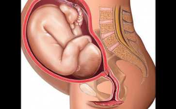 试管婴儿生儿子能确保100%成功吗？