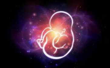 试管婴儿技术包含哪些种类？成功案例数量如何？