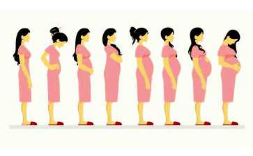 试管婴儿成功次数解析：助孕成功率与代怀选择指南